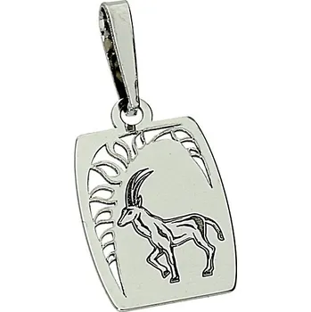 Přívěsek Goldstore Přívěsek znamení kozoroha bílé zlato Váha: 0.66 g