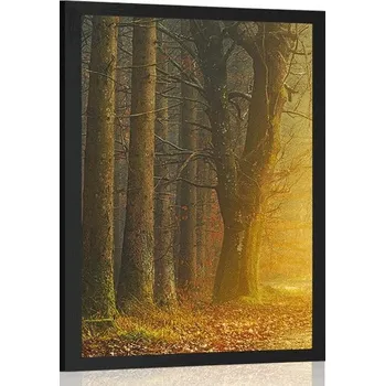 Plakát Dovido Plakát cesta v lese