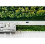 Malvis ® Tapeta Lesní cesta autem Vel. (šířka x výška): 504 x 310 cm