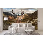 Malvis ® Tapeta Jelen v krajině Vel. (šířka x výška): 504 x 310 cm
