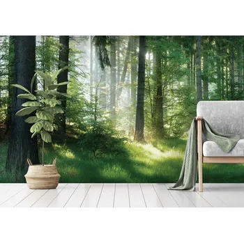 Malvis ® Tapeta Lesní pohoda Vel. (šířka x výška): 216 x 140 cm