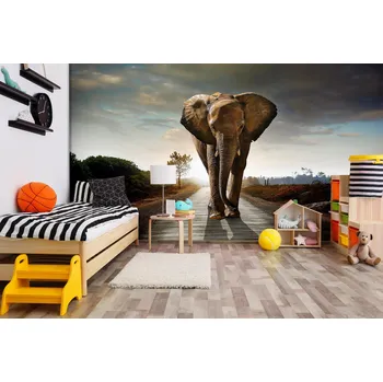 Fototapeta Malvis ® Tapeta Slon na cestě Vel. (šířka x výška): 216 x 140 cm