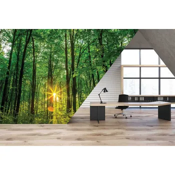 Malvis ® Tapeta Les s vycházejícím sluncem Vel. (šířka x výška): 288 x 200 cm