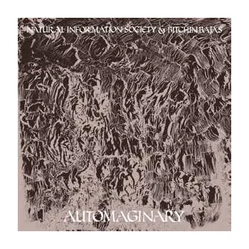 Zahraniční hudba LP Bitchin Bajas: Automaginary 2022