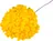 Chryzantéma vosková 14 cm 24 ks, žlutá