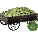 Arašídy ve wasabi 250g