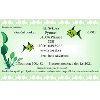 Vánoce Vánoční kupón poštou