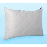 Anatomický polštář DUO DREAM VISCO 50x70cm /ZIP + - vyrobeno v Česku