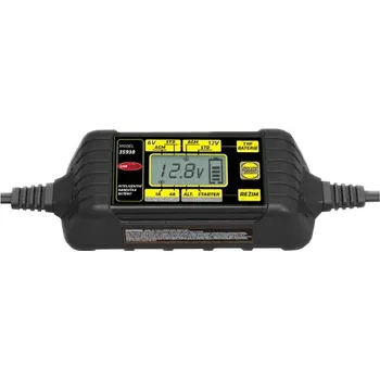 Stualarm 35938 6/12V 120Ah 4A