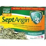 Maxi Vita Herbal SeptAngin lišejník…