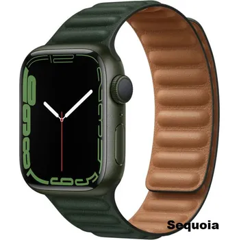 Magnetický Pásek Na Hodinky Apple Watch 38,40,41 Mm Možnosti: Sequoia