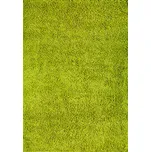 Efor Shaggy kusový koberec 1903 zelený…