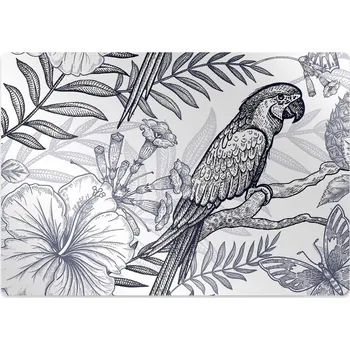 Podložka pod nábytek Podložka pod kancelářskou židli skicování papoušek