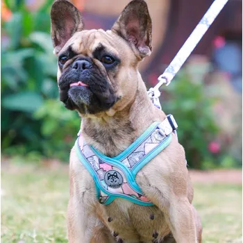 Postroj pro psa Nastavitelné postroje pro psa s reflexními prvky - modré Velikost: L
