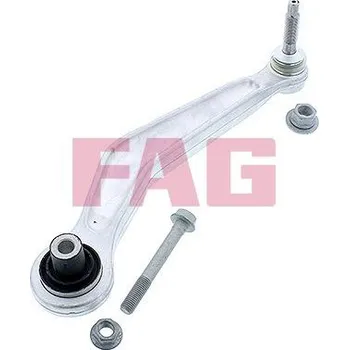 Zavěšení kol Řídicí páka, zavěšení kol Schaeffler FAG 821 0161 10