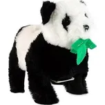 Panda akrobat