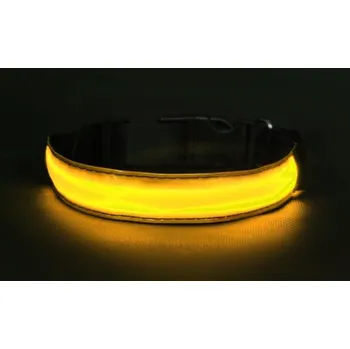 Obojek pro psa Deminas | Svítící obojek pro psa Velikost: XL