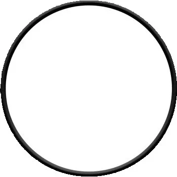 sera O kroužek komory čerp. 80 mm PP3000/6000/9000