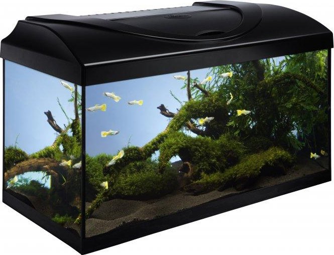 Diversa Akvarijní set STARTUP LED 60 cm rovný