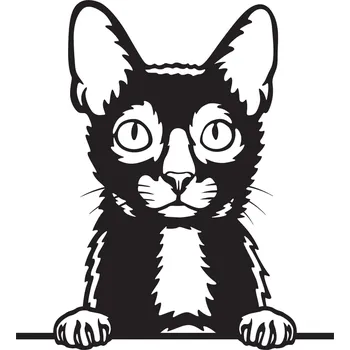 Vsepropejska Lykoi vlkodlačí kočka dřevěná dekorace na zeď Rozměr (cm): 38 x 34