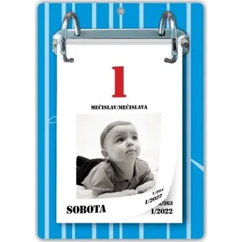 Kalendář Denní trhací kalendář (105x148)