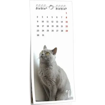 Fotokalendář Nástěnný kalendář NKN-58 (100x230)