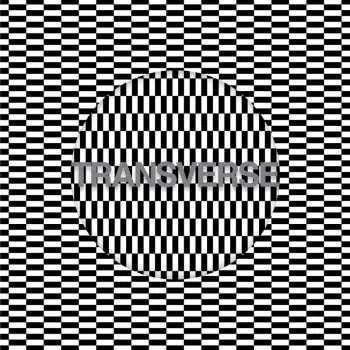 Zahraniční hudba CD Carter Tutti Void: Transverse 2017