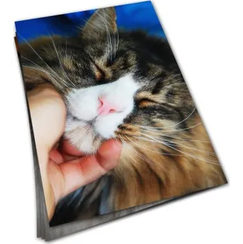 Rám na obraz Sada 10ti perleťových fotografií (13x18)