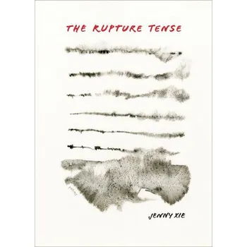 Poezie The Rupture Tense: Poems (EN)