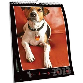 Fotokalendář Nástěnný fotokalendář NKN-112 (A4)