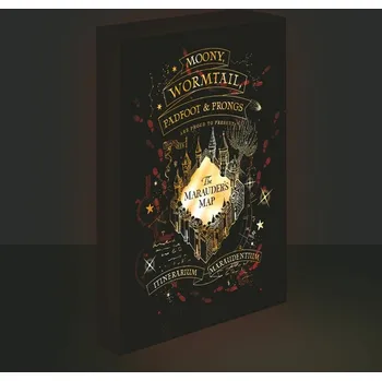 plyšák Harry Potter obraz LED svítící 30x40 cm - Pobertův plánek - EPEE