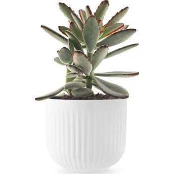 Stolování Malý květináč LEGIO NOVA, Eva Solo ▪ Kč 1040 ️ - Luxurytable.cz Eva Solo