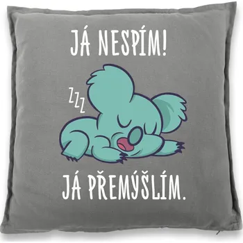 Dekorativní polštářek Vtipný polštář Já nespím já přemýšlím, Barva Šedá, Velikost 40×40 cm, Canvas Bavlněný polštář Bezvatriko.cz 1039 - DTF/DTG