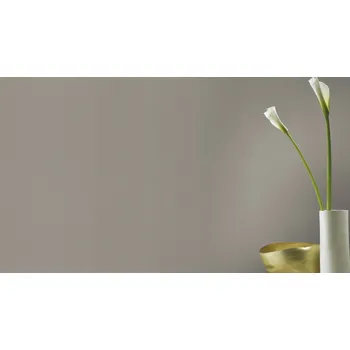 Tapeta 555875 Rasch vliesová omyvatelná tapeta na zeď Lirico 2025, velikost 10,05 m x 53 cm