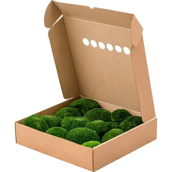 Rám na obraz Stabilizovaný mech Ball Moss Dark Green Box 40x40 cm - Do interiéru