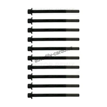 Těsnění motoru Sada šroubů pro hlavy válcu VICTOR REINZ (VR 14-10172-01)