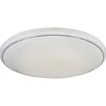 Rabalux stropní svítidlo Bruce LED 60W CCT RGB DIM 2118