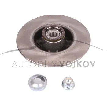 Brzdový kotouč Brzdový kotouč zadní Renault Mégane II 2006 - 2008