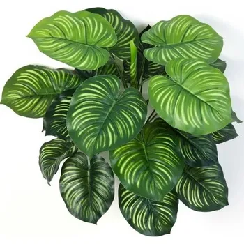 umělá květina Umělá rostlina Calathea premium, 45cm
