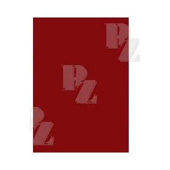 Výtvárné potřeby Karton 50x70 oboustranný 300 g/m2 vínový, Herlitz