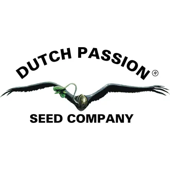 Semeno Dutch Passion AUTO White Widow Počet ks Feminizované: 3