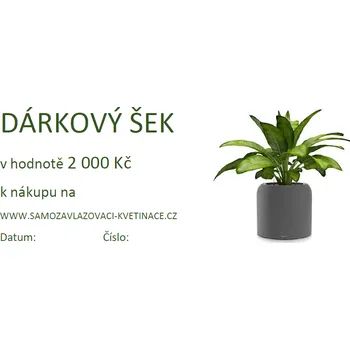 Dárkový potravinový koš Lechuza Dárkový šek 2 000Kč