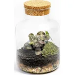 Gardners Skleněná dóza Helenium s korkovým špuntem, 14x20 cm - osázené vlhkomilně