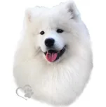 Avisa Samolepka na auto Samojed