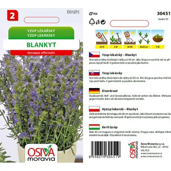 Semeno Osiva Moravia Yzop lékařský 0,2 g