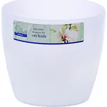 Obal Brussels Orchid - transparent 12,5 cm