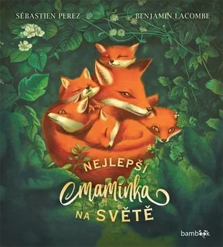 Pohádka Nejlepší maminka na světě - Sébastien Perez, Benjamin Lacombe (2023, pevná)