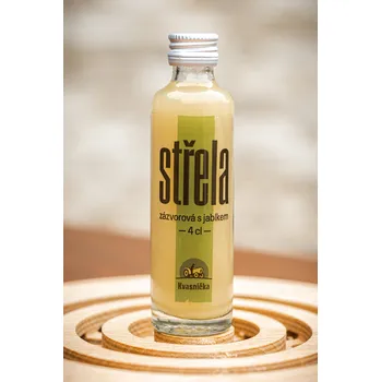 Zázvorová střela jablko 40 ml