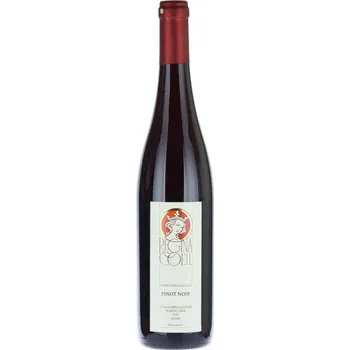 Víno Vinařství Trpělka a Oulehla Pinot Noir 2017 pozdní sběr suché 0,75 l