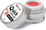 Enii Nails Quick Color Gel 106…